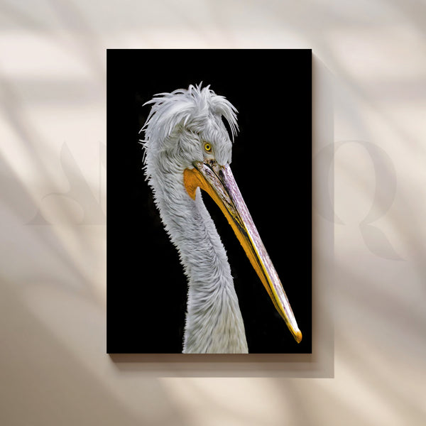 Regal Pelican Profile Canvas Painting for Office or Study