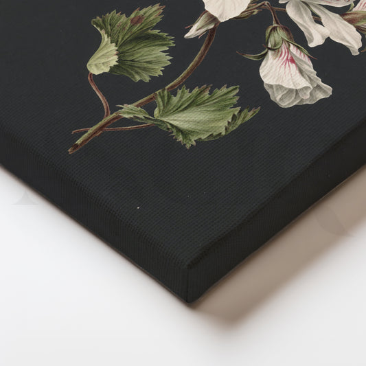 Vintage Gardenia Cluster Canvas Artwork for Hallways or Entryways