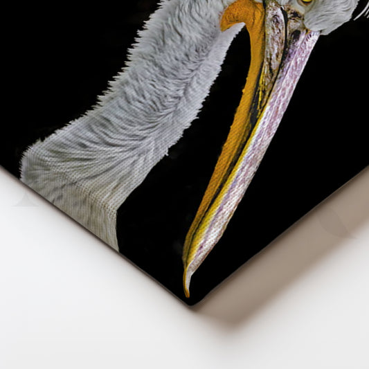 Regal Pelican Profile Canvas Painting for Office or Study