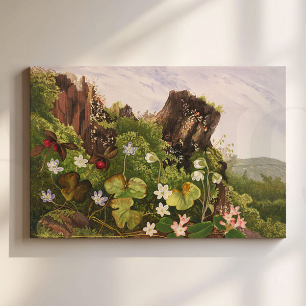 Vintage Forest Botanical Canvas Artwork (Ready to Ship)