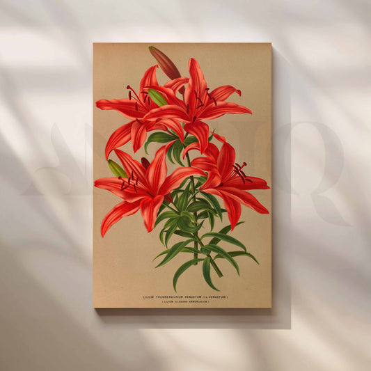 Vintage Red Lily Botanical Canvas Artwork for Entryway/Hallway