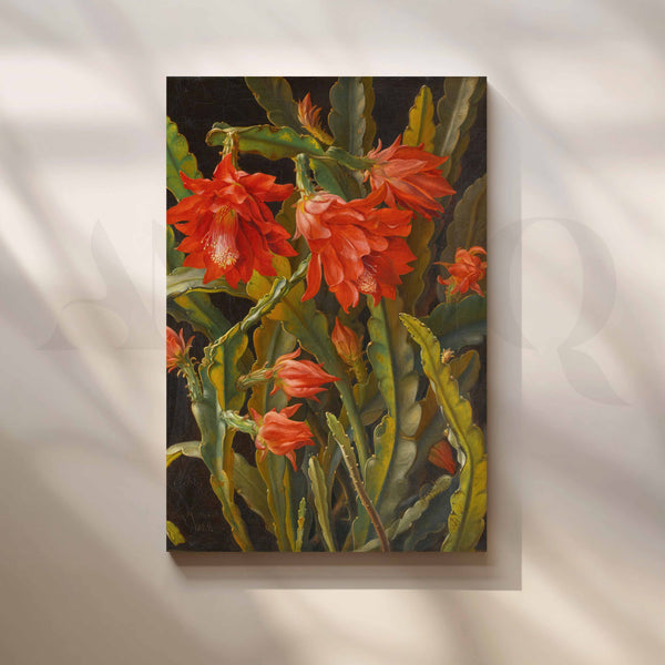 Vintage Red Cactus Bloom Canvas Artwork