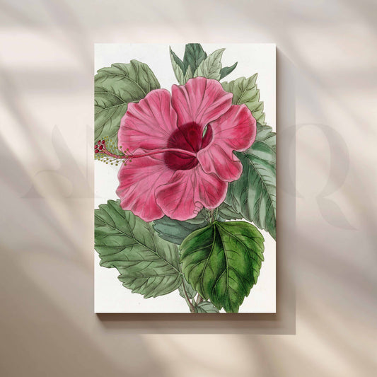 Vintage Pink Hibiscus Botanical Canvas Artwork for Kitchen/Dining Area