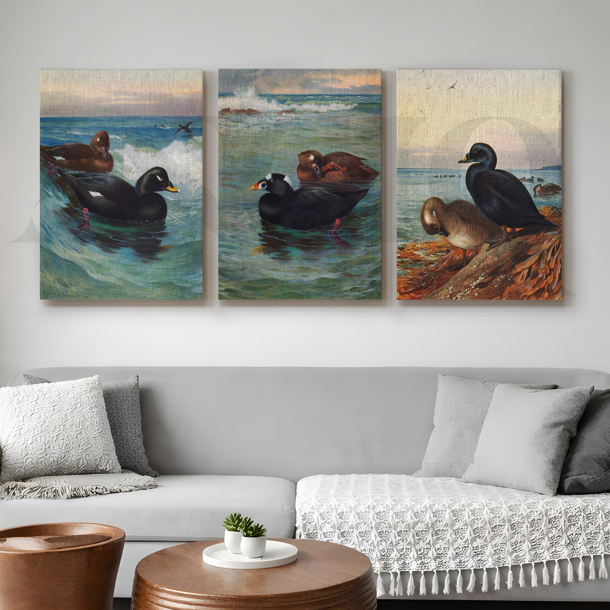 Coastal Waterfowl Seascape Gallery Wall – Set of 3 Marine Artworks - 18 x 24 Inches for Living Room