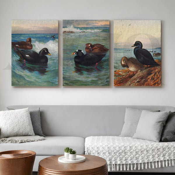 Coastal Waterfowl Seascape Gallery Wall – Set of 3 Marine Artworks - 18 x 24 Inches