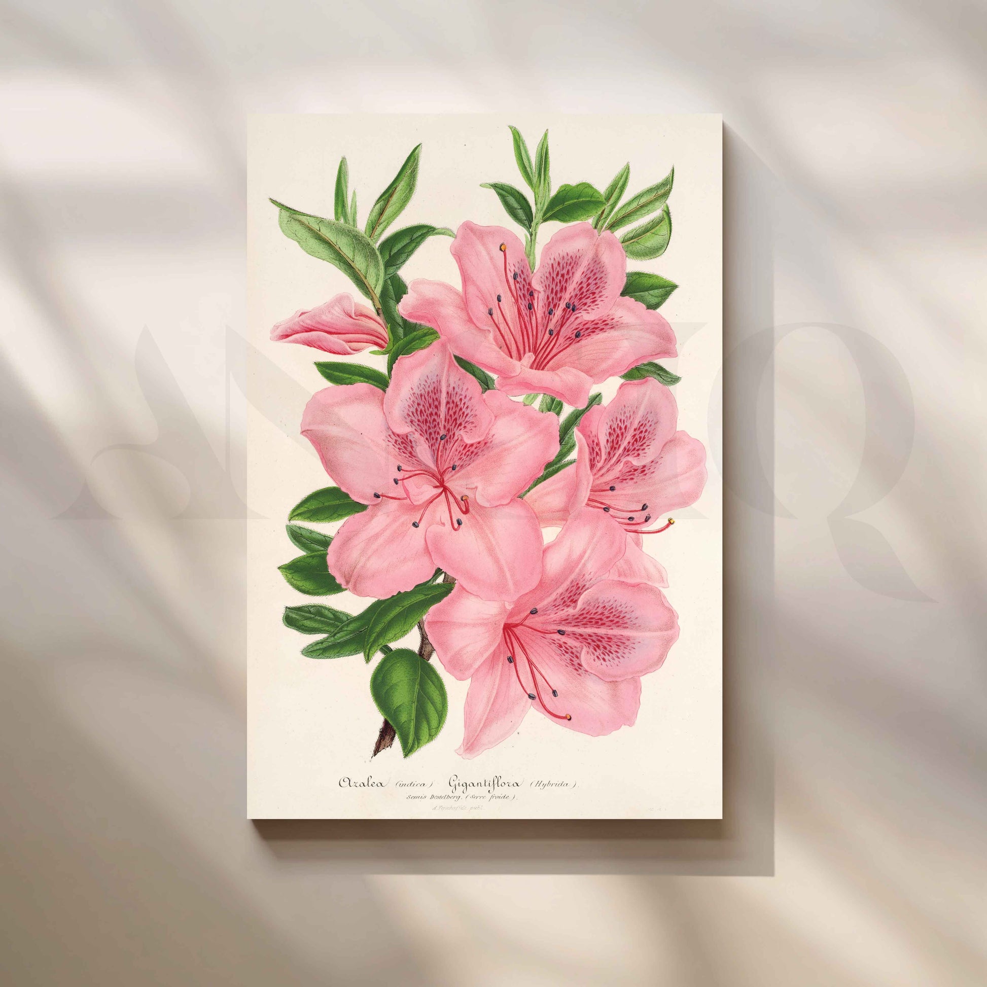 Soft Pink Azalea Botanical Canvas Artwork for Stylish Bedroom