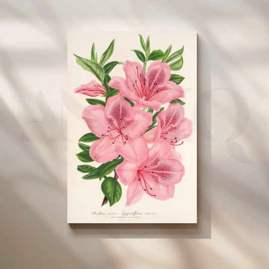 Soft Pink Azalea Botanical Canvas Artwork for Stylish Bedroom