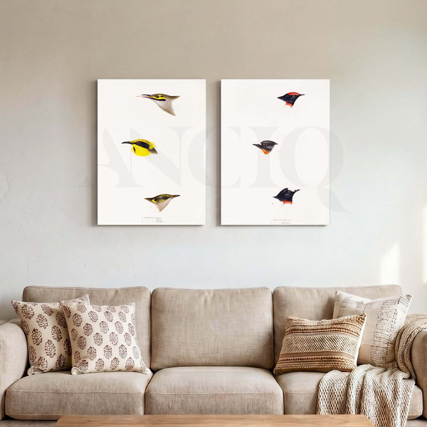 Minimal Bird Study Gallery Wall Set of 2