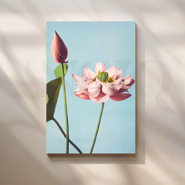 Pink Lotus Bloom and Bud Canvas Artwork