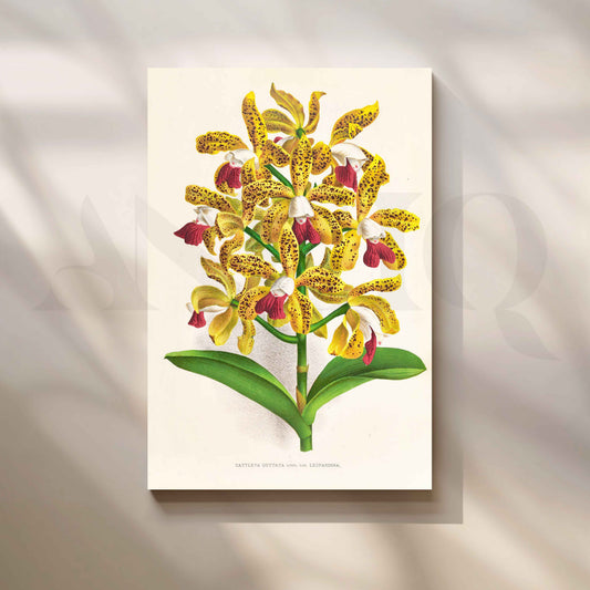 Vintage Yellow Orchid Botanical Canvas Artwork for Living Room