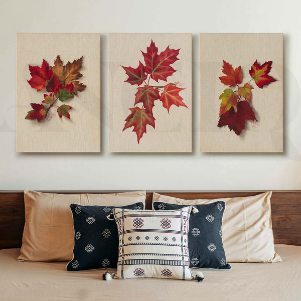Autumn Maple Leaf Gallery Wall Artwork Set of 3