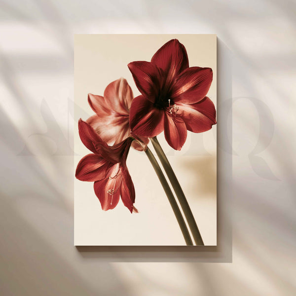 Deep Red Amaryllis Flowers Canvas Artwork