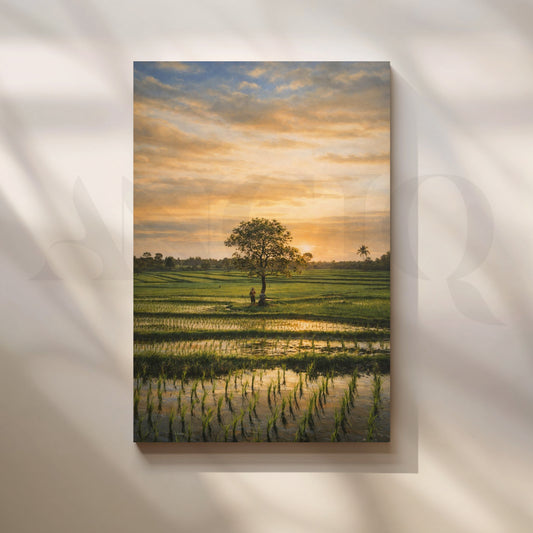 Golden Paddy Field Sunset Canvas Artwork for Living Room