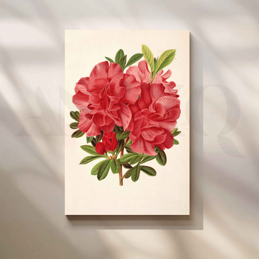 Vintage Red Floral Botanical Canvas Artwork for Stylish Bedroom