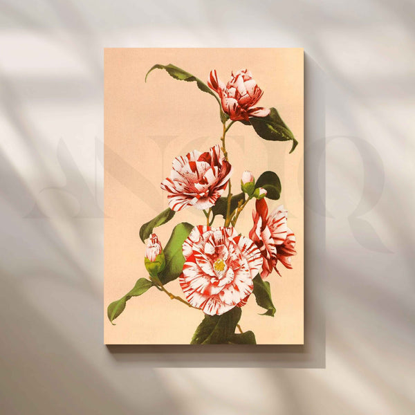 Red and White Camellia Flowers Canvas Artwork