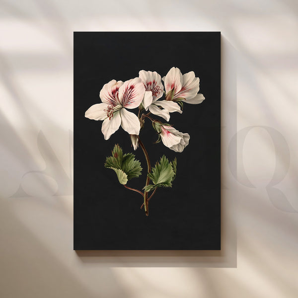White Floral Botanical Canvas Artwork (Ready to Ship)