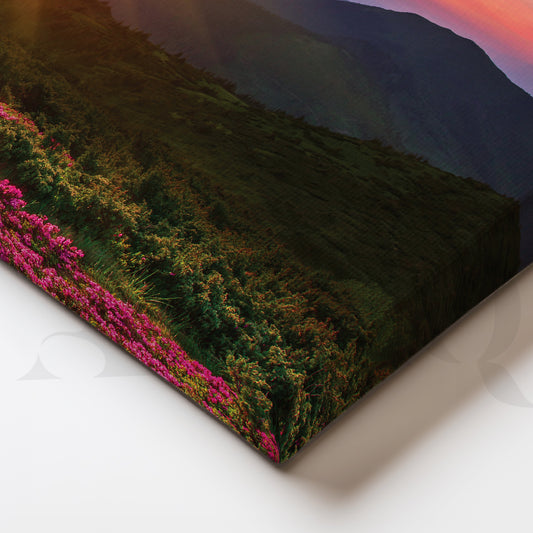 Morning Bliss Canvas Artwork (Ready to Ship)