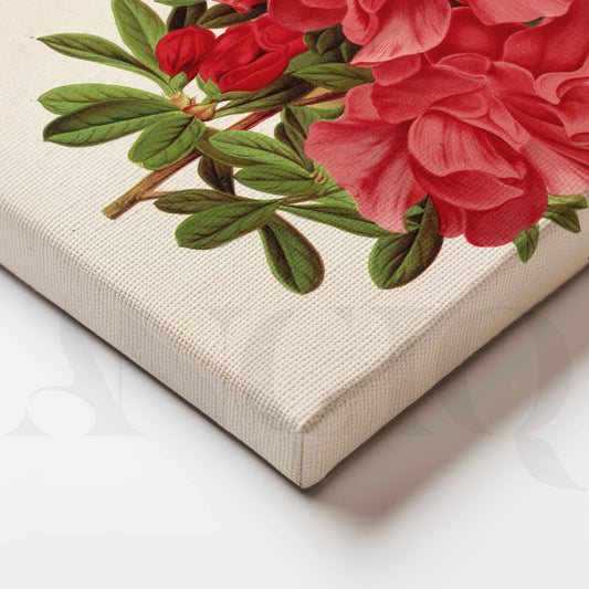Vintage Red Floral Botanical Canvas Artwork for Stylish Bedroom