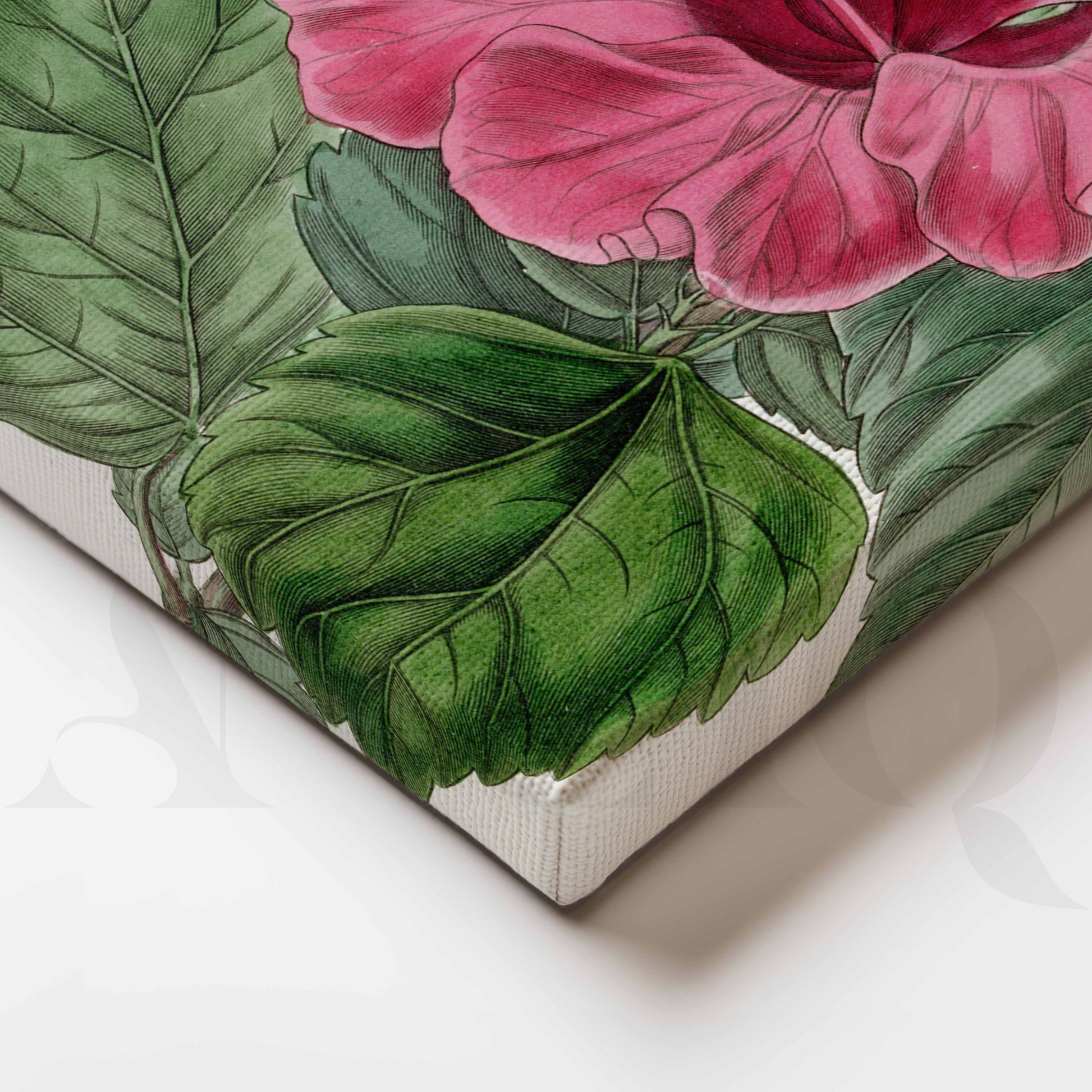 Vintage Pink Hibiscus Botanical Canvas Artwork for Kitchen/Dining Area