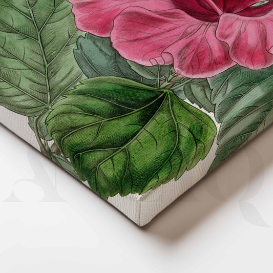 Vintage Pink Hibiscus Botanical Canvas Artwork for Kitchen/Dining Area
