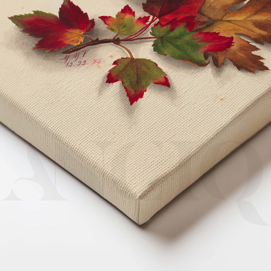 Autumn Maple Leaf Gallery Wall Artwork Set of 3