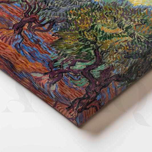 Olive Grove at Sunset Canvas Artwork