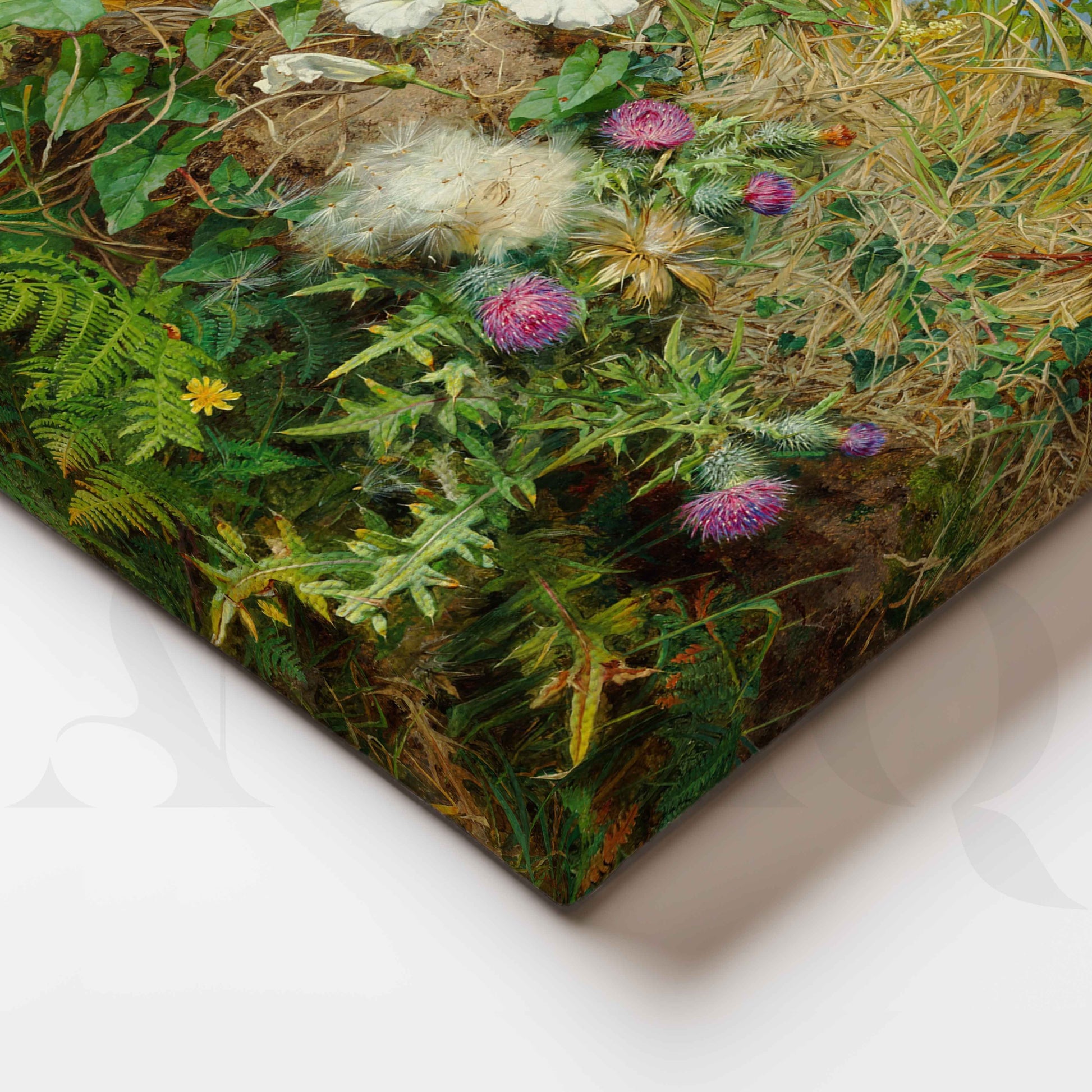 Wild Meadow Botanical Canvas Artwork for Stylish Bedroom