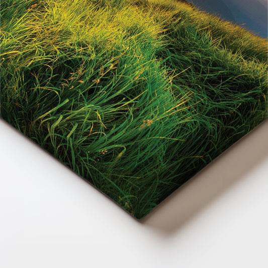 Sunlit Meadows Canvas Wall Painting