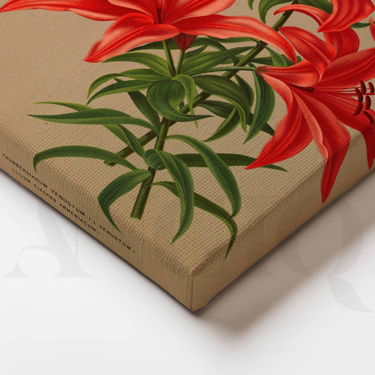 Vintage Red Lily Botanical Canvas Artwork for Entryway/Hallway