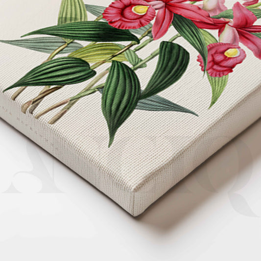 Pink Orchid Botanical Gallery Wall Artwork Set of 2