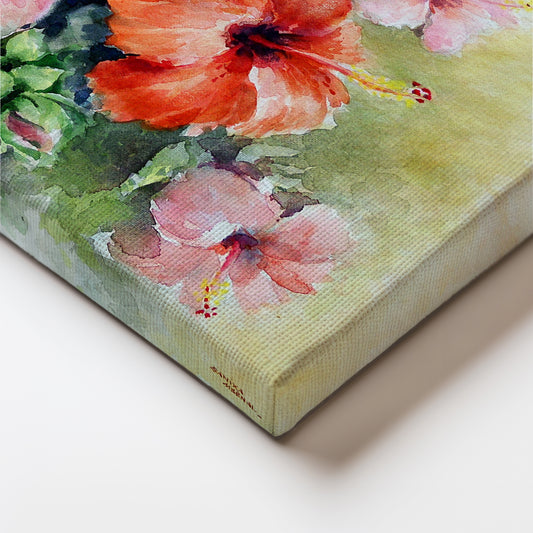 Hibiscus Flowers
