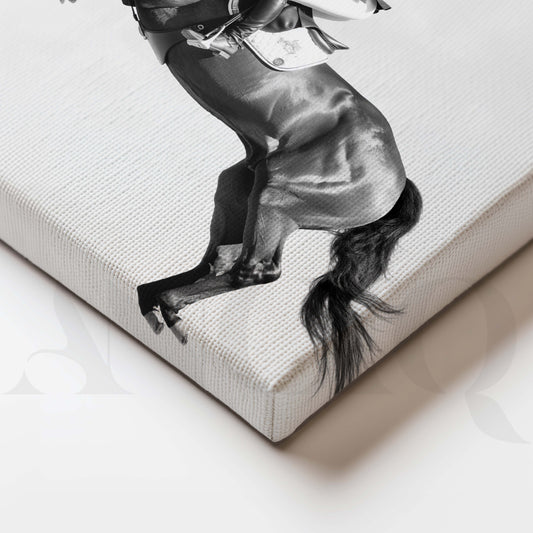 Monochrome Jumping Horse Canvas Artwork