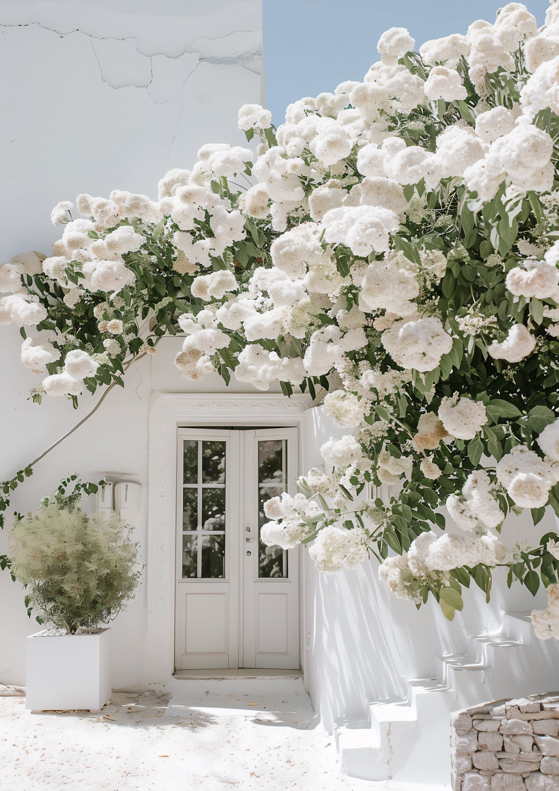 white flowers on entrance wall poster from anciq