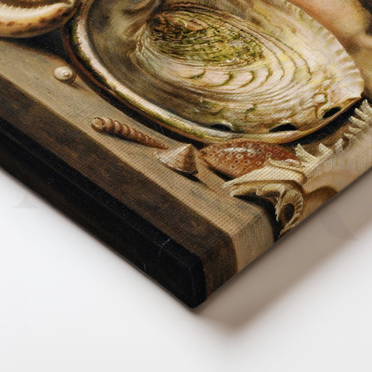 Vintage Seashell Still Life Canvas Wall Art