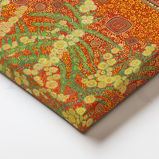 Aboriginal Sun & Wildflower Dreaming Canvas Artwork