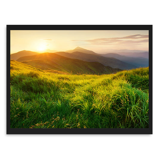 Sunlit Meadows Canvas Wall Painting