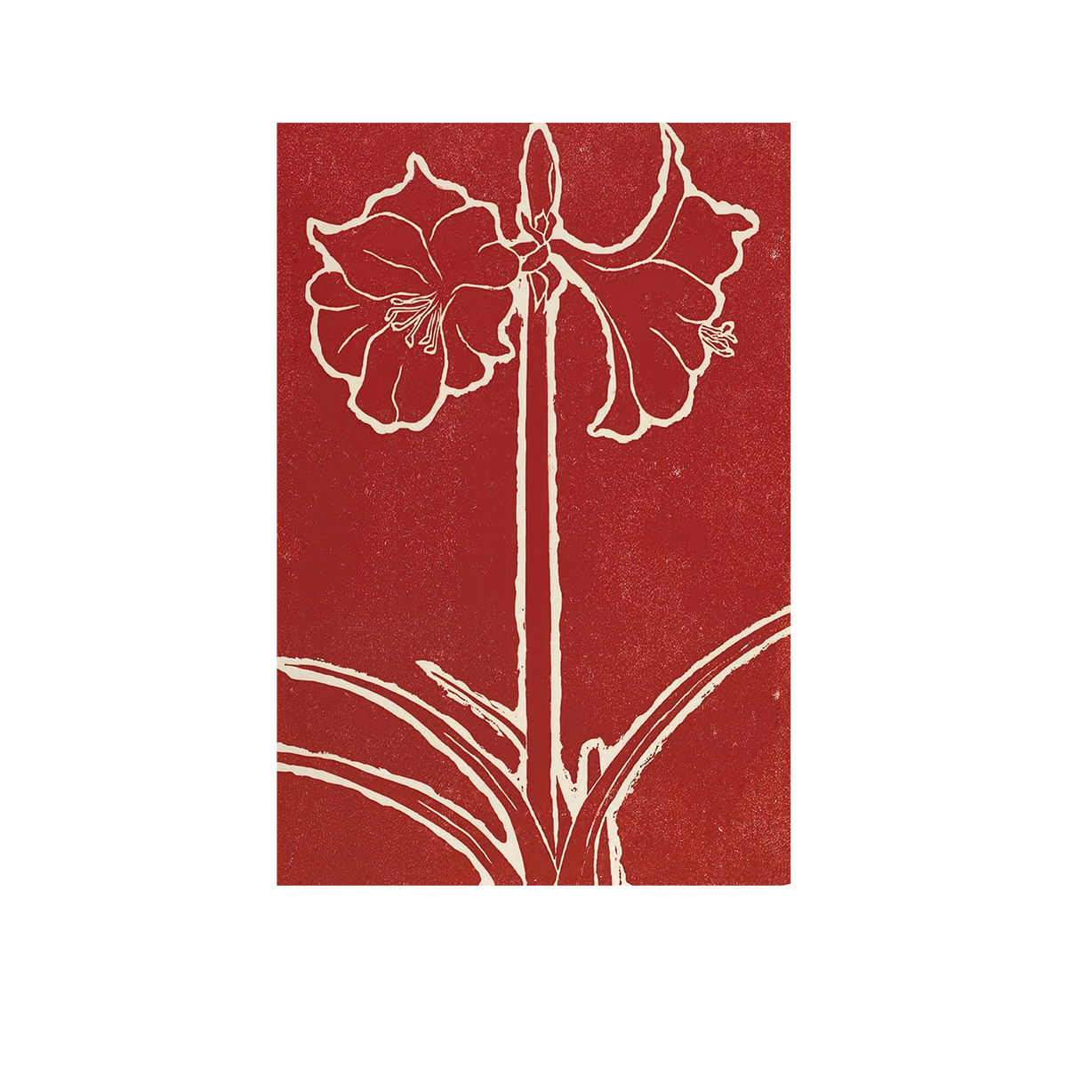 Crimson Bloom - Before