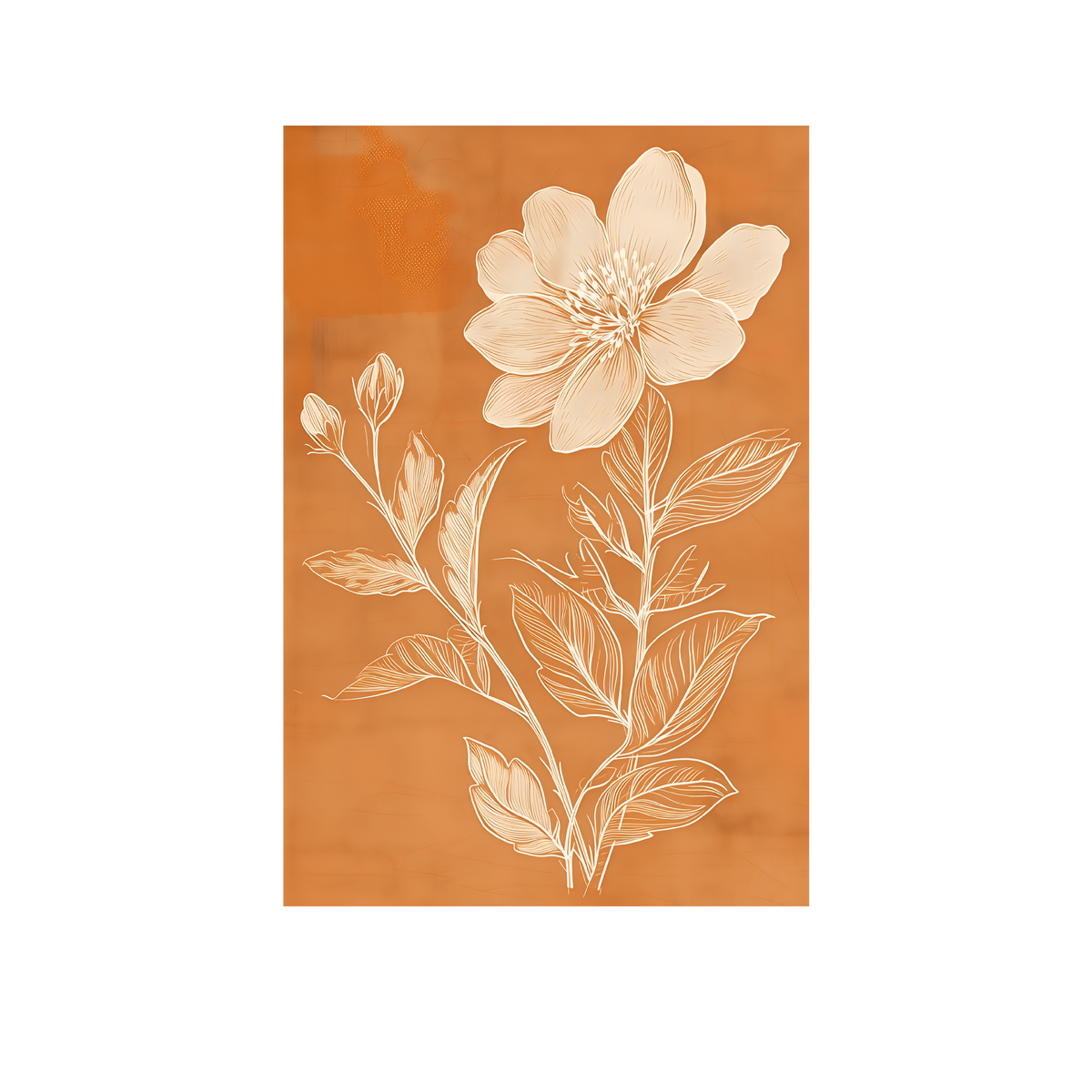 Ivory Bloom - Before