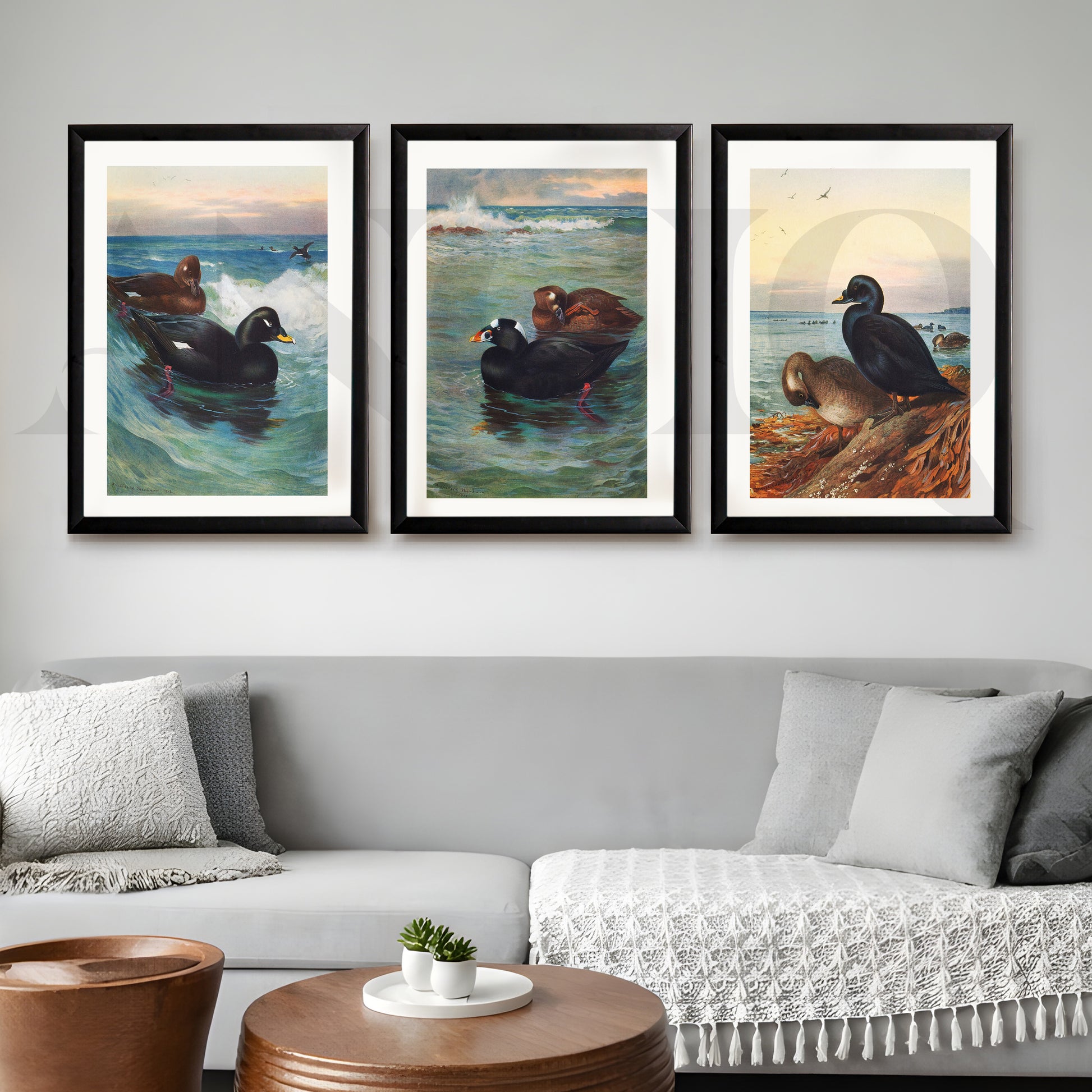 Coastal Waterfowl Seascape Gallery Wall – Set of 3 Marine Artworks - 18 x 24 Inches for Living Room