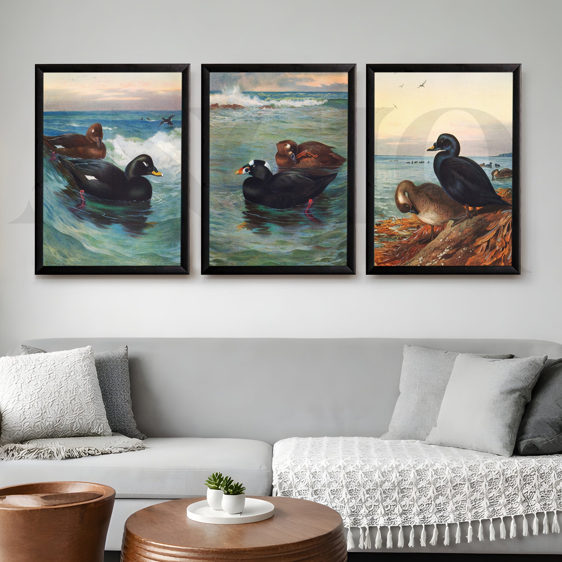 Coastal Waterfowl Seascape Gallery Wall – Set of 3 Marine Artworks - 18 x 24 Inches for Living Room