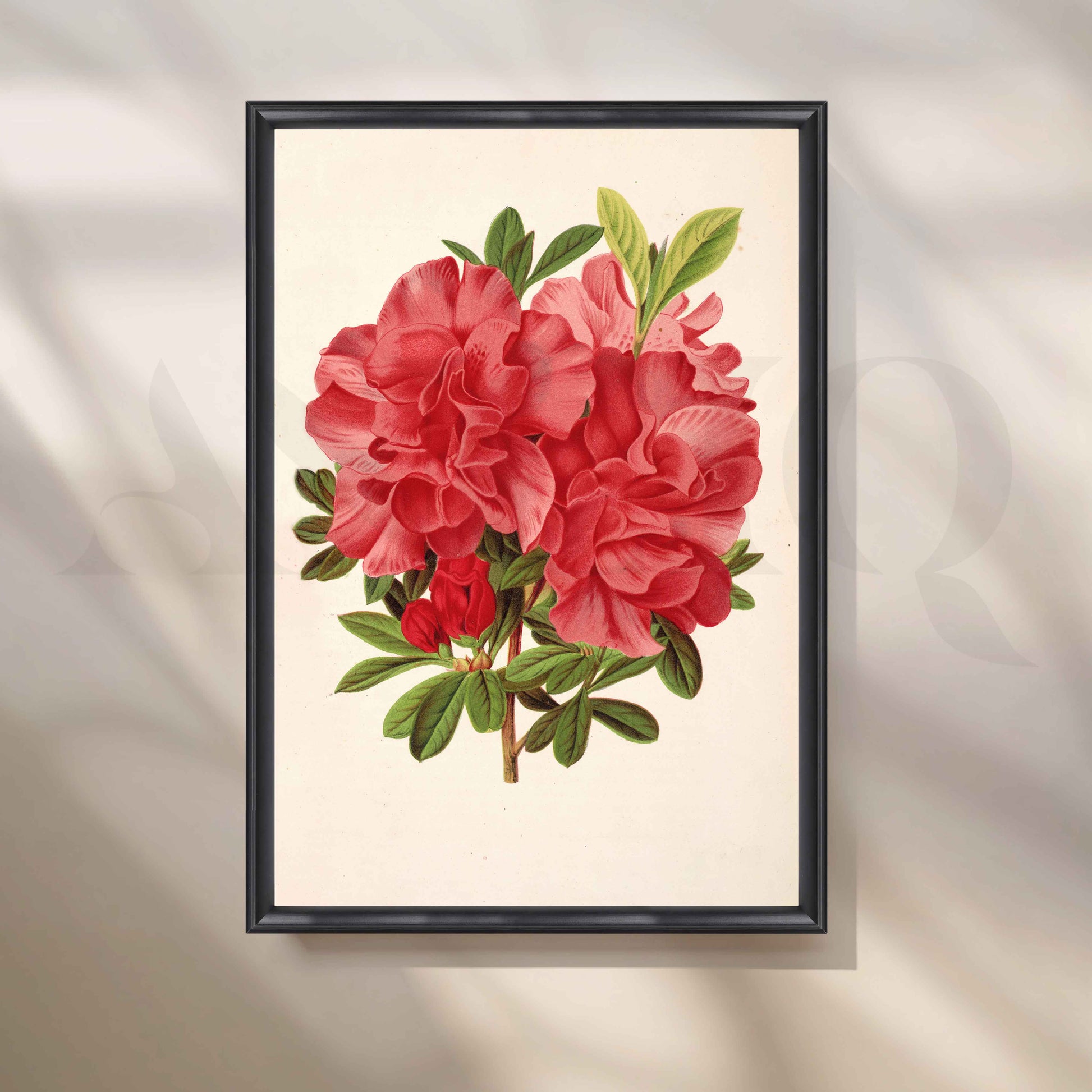 Vintage Red Floral Botanical Canvas Artwork for Stylish Bedroom