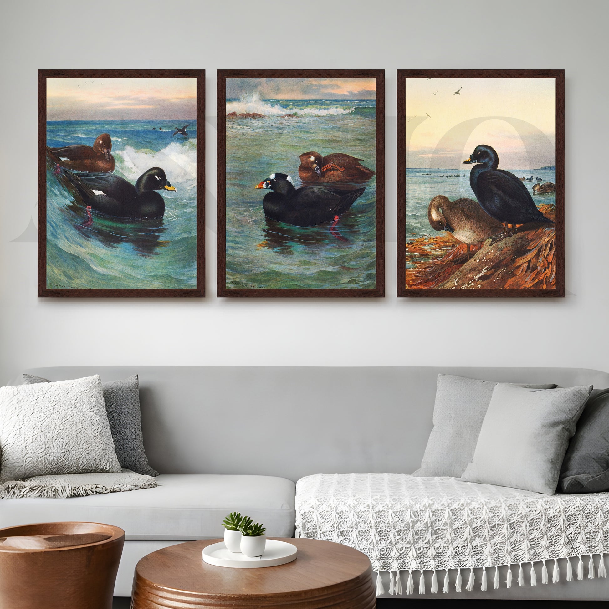 Coastal Waterfowl Seascape Gallery Wall – Set of 3 Marine Artworks - 18 x 24 Inches for Living Room