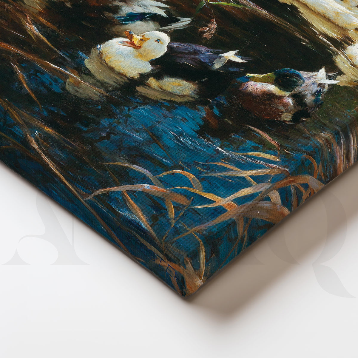 Close-up Detail Ducks in Reeds Nature Canvas Artwork