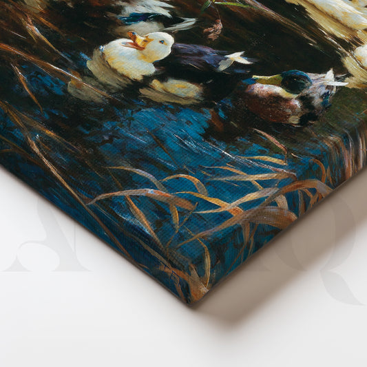 Close-up Detail Ducks in Reeds Nature Canvas Artwork