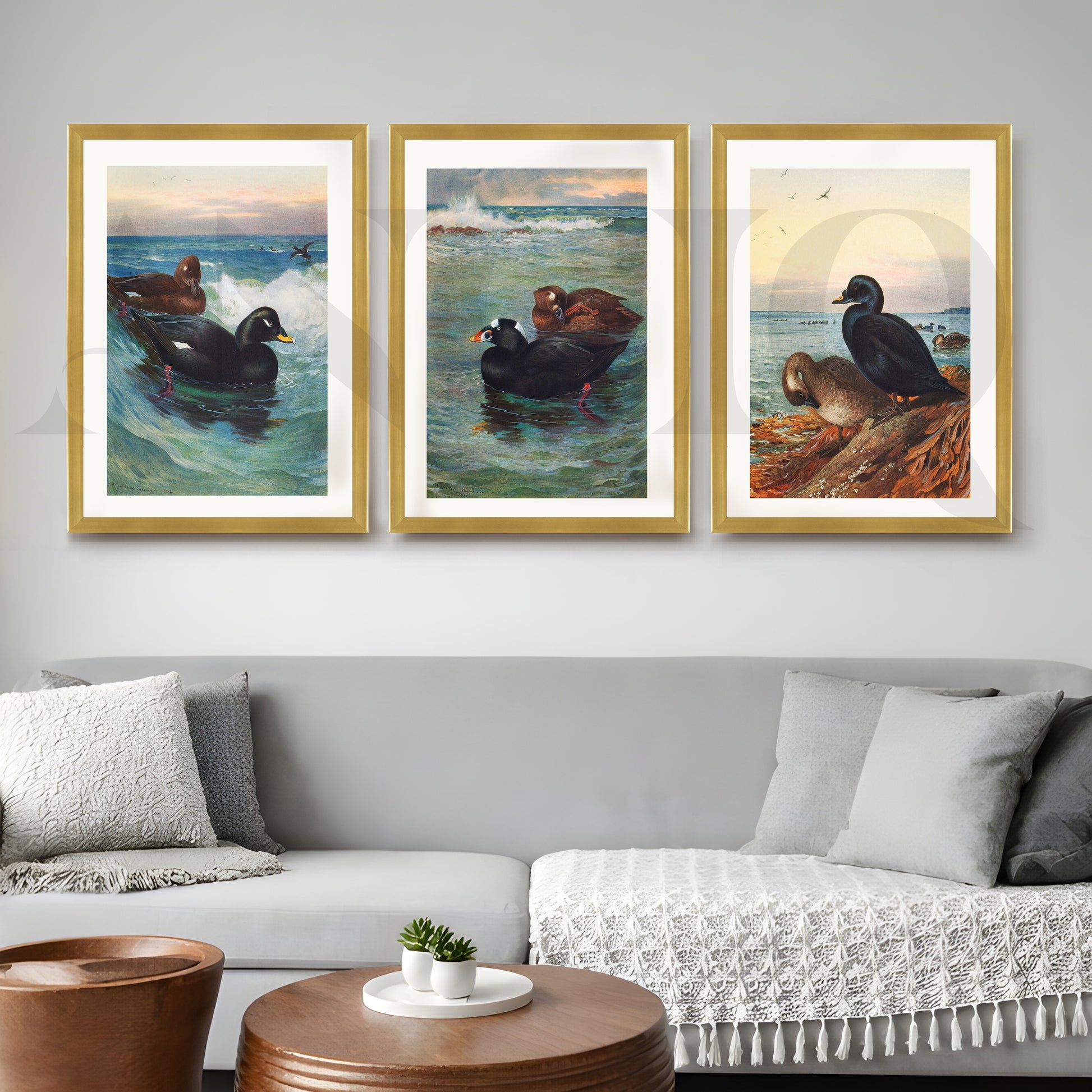 Coastal Waterfowl Seascape Gallery Wall – Set of 3 Marine Artworks - 18 x 24 Inches for Living Room