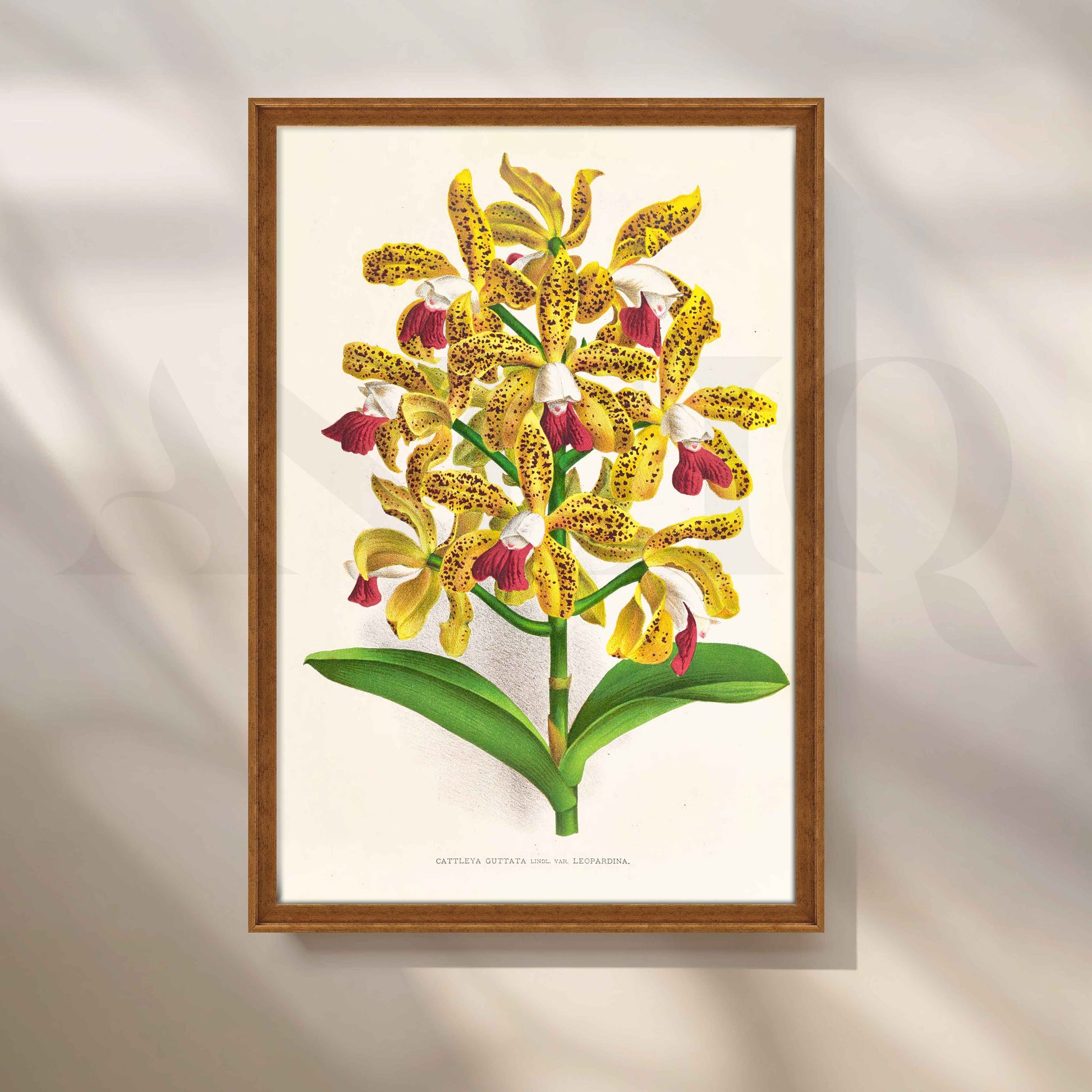Vintage Yellow Orchid Botanical Canvas Artwork for Living Room
