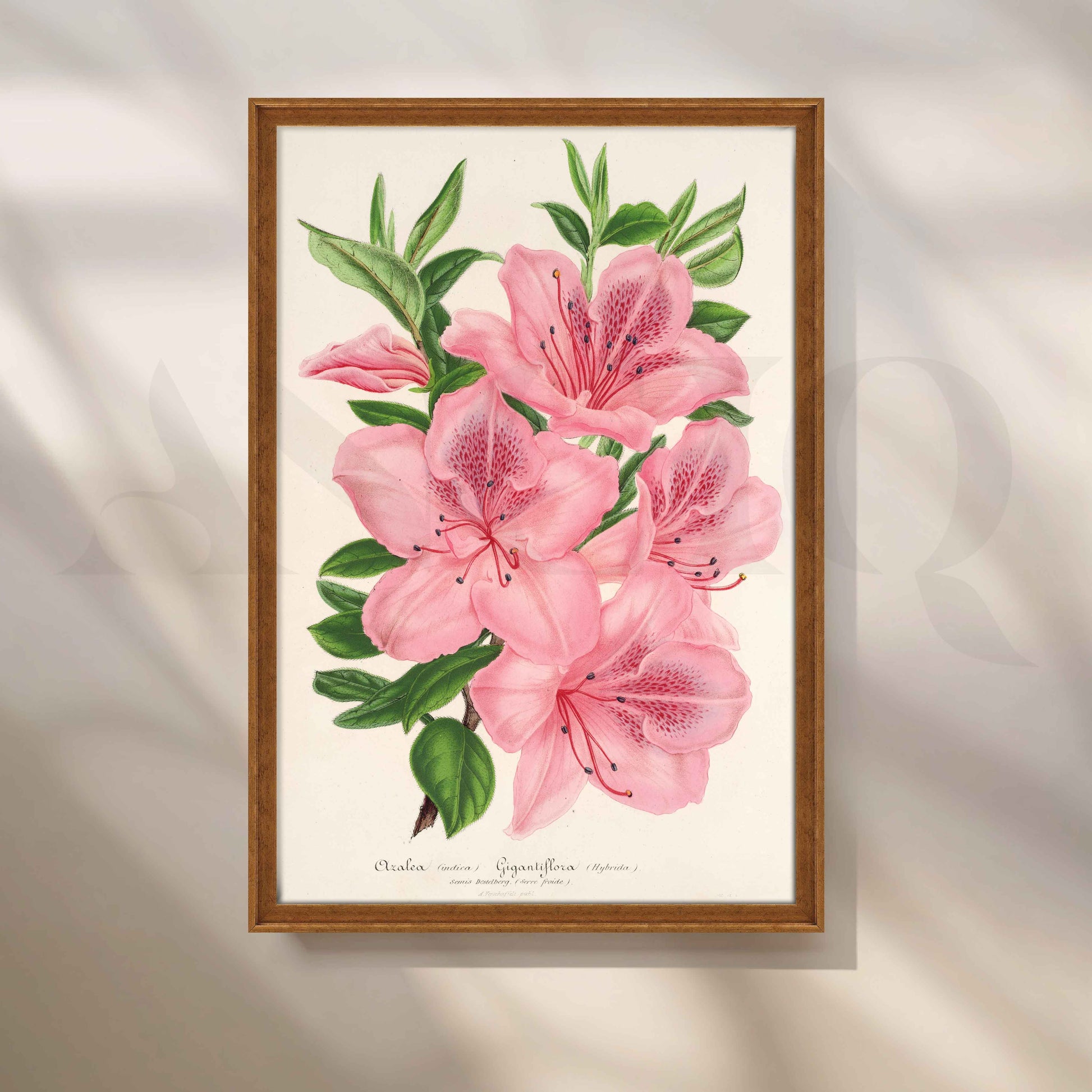 Soft Pink Azalea Botanical Canvas Artwork for Stylish Bedroom