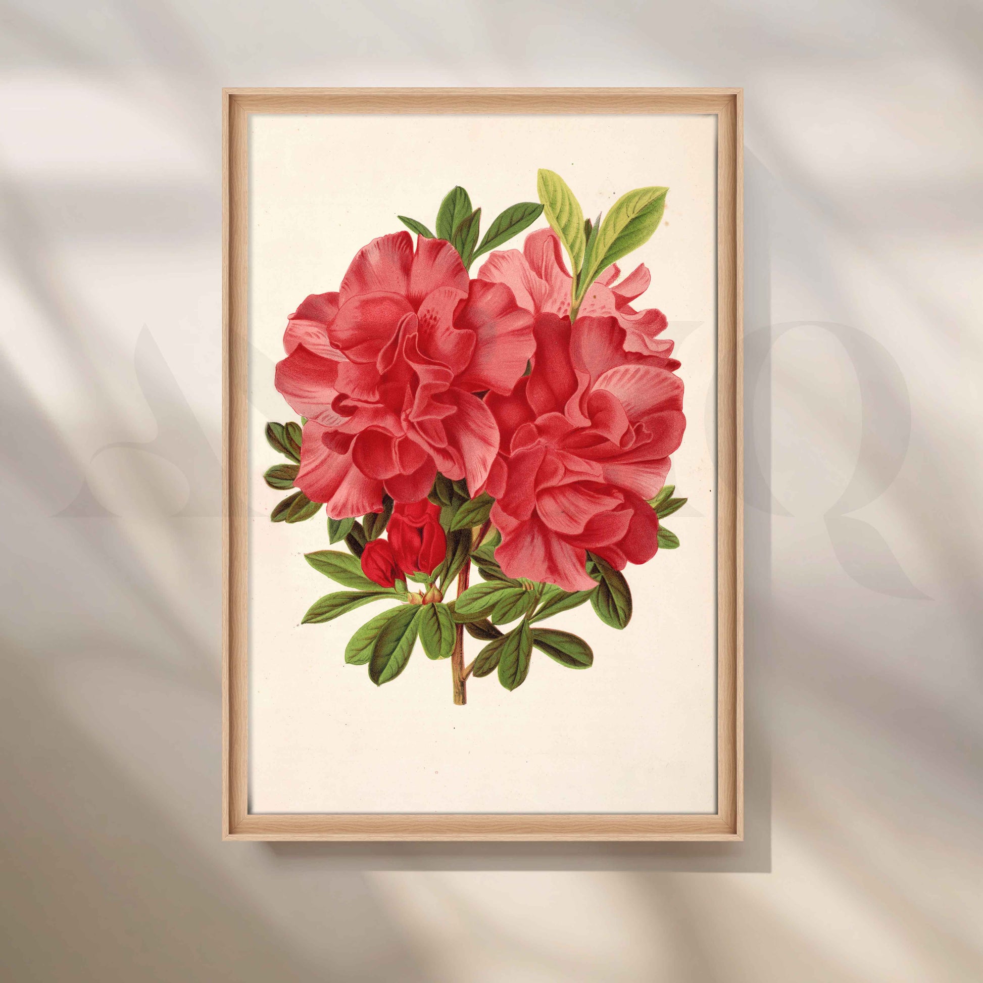 Vintage Red Floral Botanical Canvas Artwork for Stylish Bedroom
