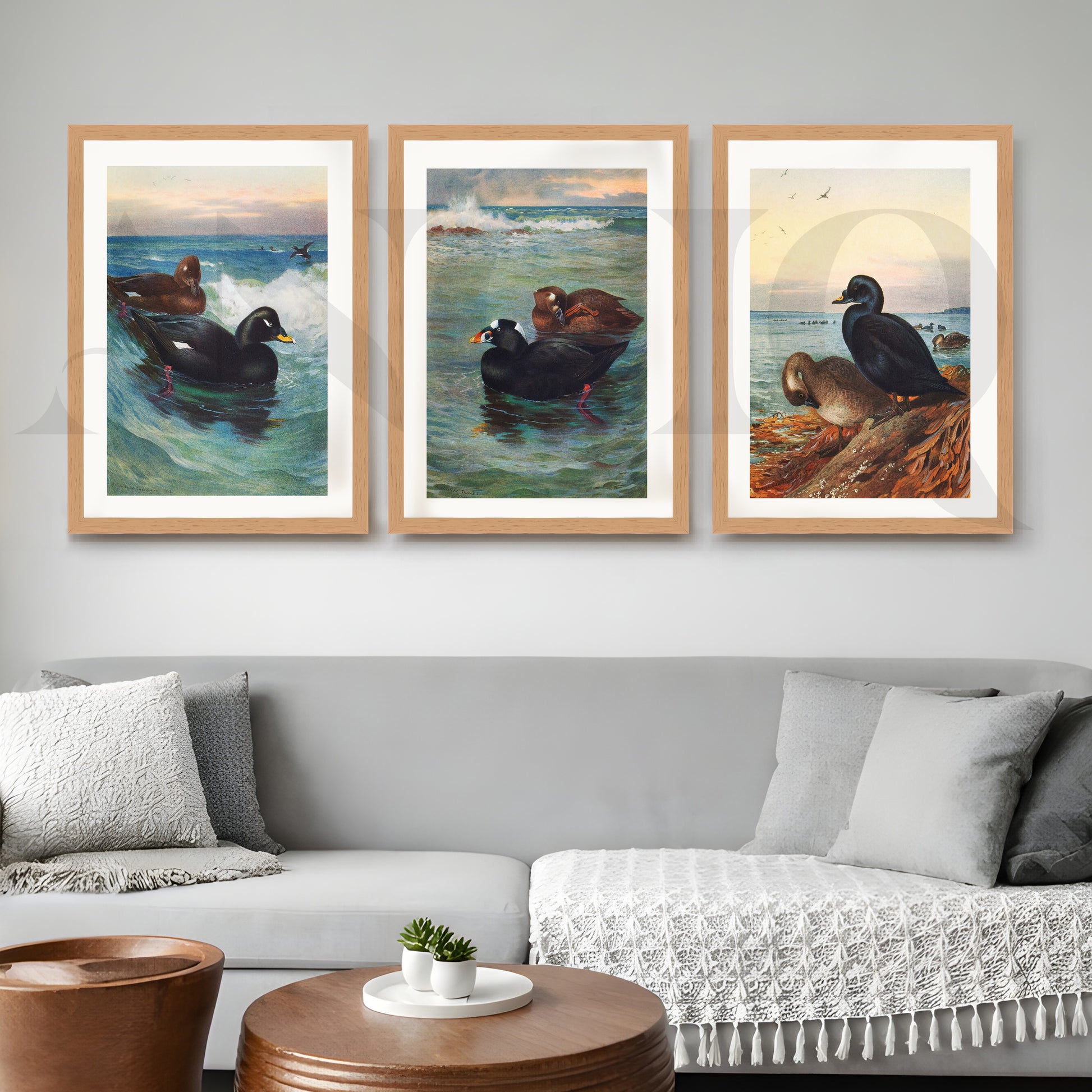 Coastal Waterfowl Seascape Gallery Wall – Set of 3 Marine Artworks - 18 x 24 Inches for Living Room