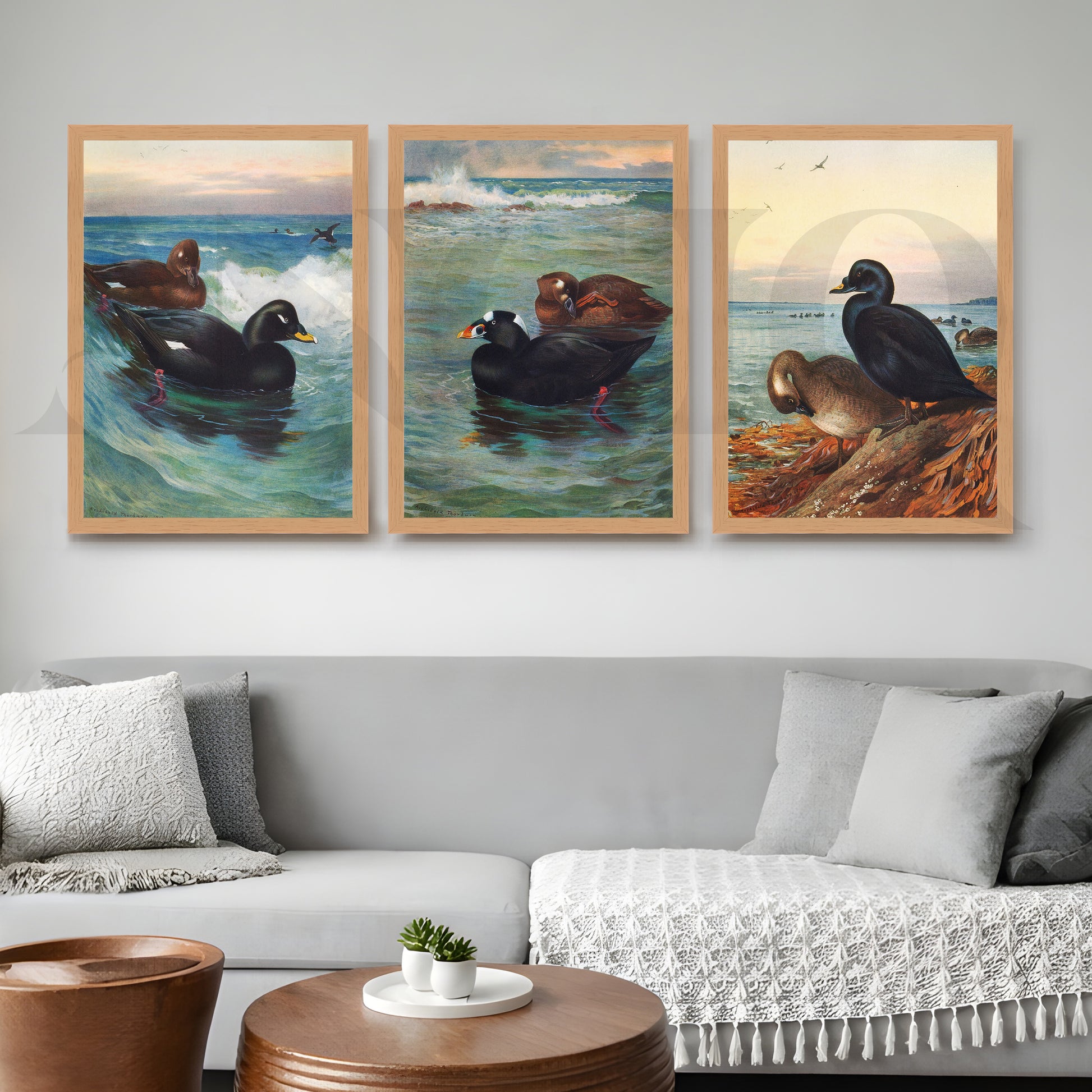 Coastal Waterfowl Seascape Gallery Wall – Set of 3 Marine Artworks - 18 x 24 Inches for Living Room